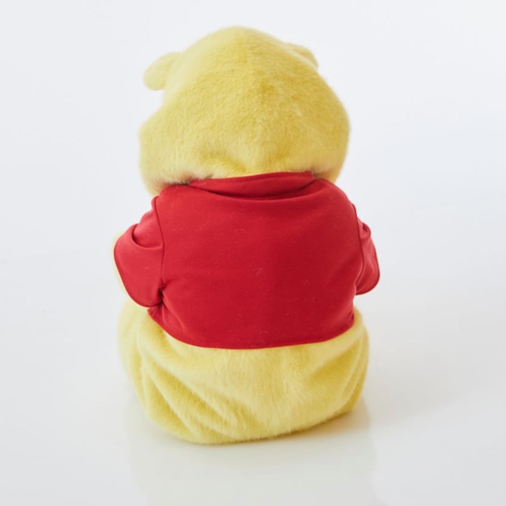 Pottery Barn Winnie the Pooh Baby Costume with attached Red Vest - Picture 2 of 7